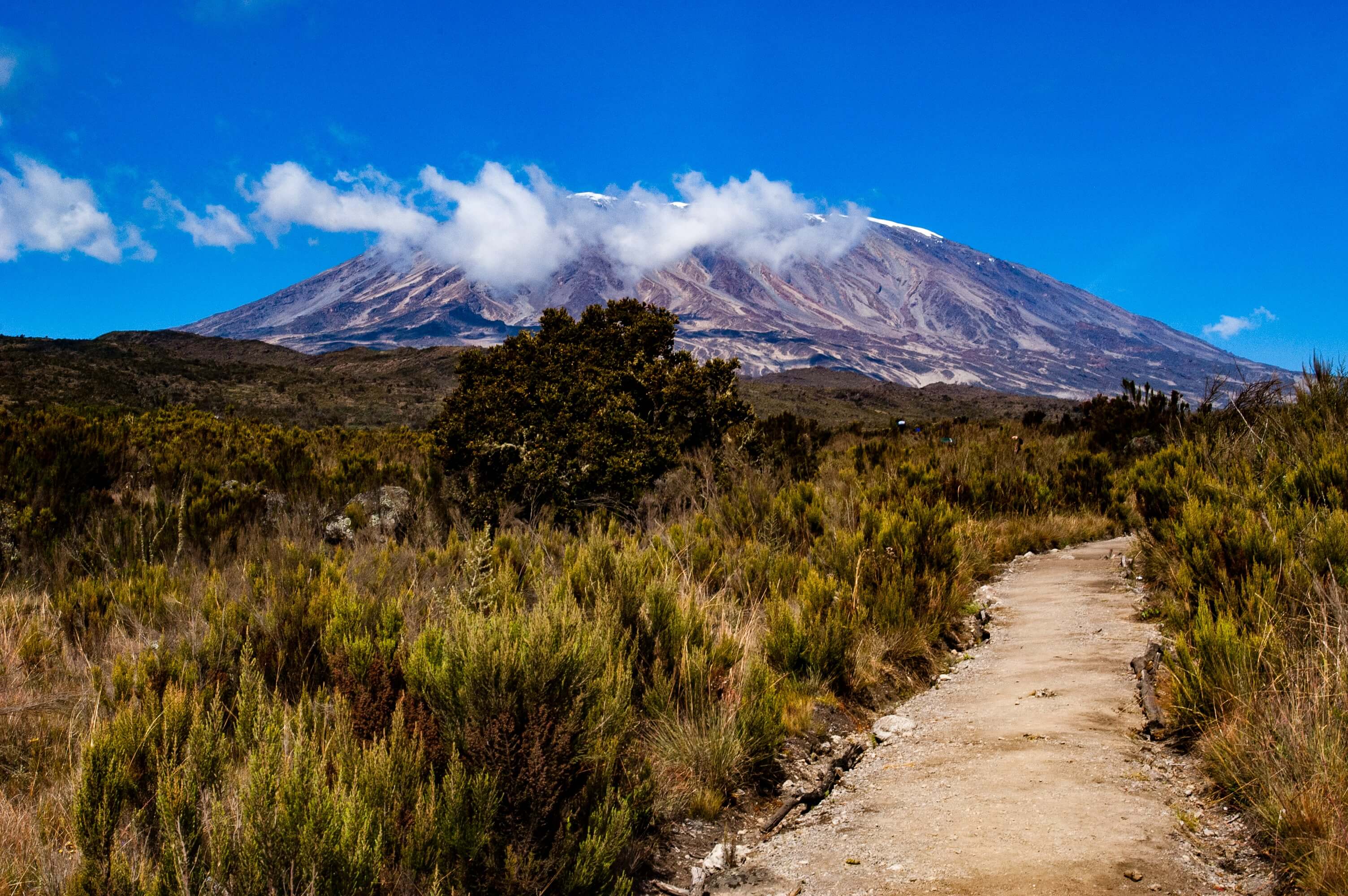 Training For Kilimanjaro